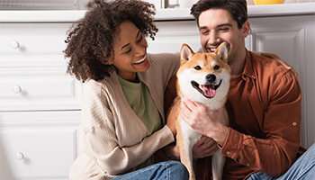 Pet Insurance